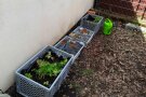 angepflanzt und gesät stehen die Pflanzkisten bereit