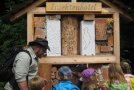 Ein Mann mit einer Gruppe Kindern steht vor einem Insektenhotel
