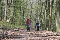 zwei Kinder spazieren durch den Frühlingswald