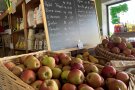 Frische Äpfel