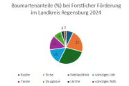 Kreisdiagramm mit Baumartenanteilen im Landkreis Regensburg (2024) in Prozent: 28 % Edellaubholz, 22% Eiche, 15% Buche und 14% Tanne.