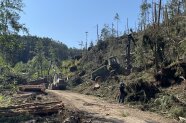 Sturmwurf bei Regenstauf - Harvestereinsatz