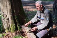 Försterin Knitl begutachtet ein Stück Totholz kniehend, das von einem Baumpilz bewohnt wird.