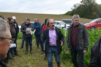Personen stehen auf einem Feld