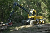 Harvester im Wald